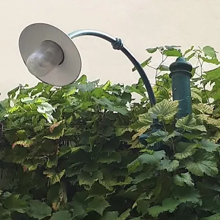 Alte Seifensiederei Zu Ferienwohnung Apartment Pulkau